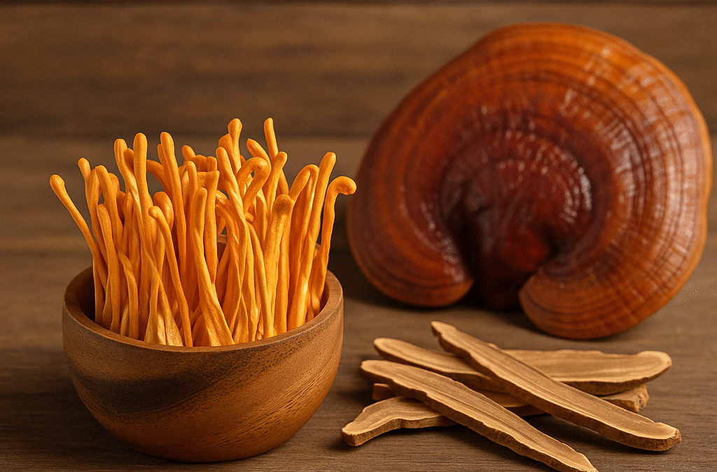 Gyógygombák: természetes megoldások a modern egészségmegőrzésben