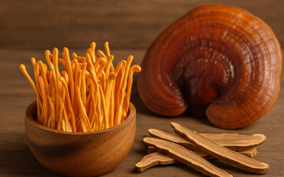 Gyógygombák: természetes megoldások a modern egészségmegőrzésben