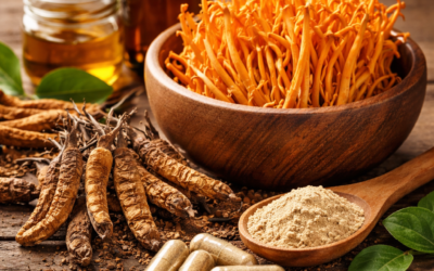 Cordyceps gomba hatása